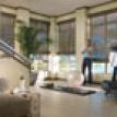 Woven Wood Shades